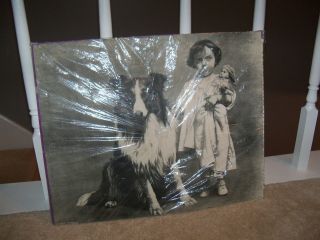 Vintage Wilson Chemical Co 1752 Companions Small Girl With Dog Print Picture