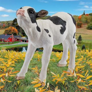 Baby Calf Farmland Sculpture Yard Garden Young Cow Barnyard Statue