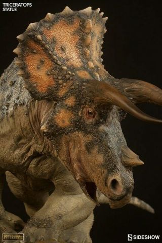 Triceratops Dinosaur Statue By Sideshow Collectibles
