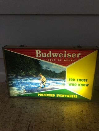 1950’s Budweiser Beer Lighted Trout Fishing Sign / St Louis Beer
