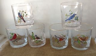 Vintage West Virginia Glass Songbird Rocks Glass Set/6 Cardinal Blue Jay