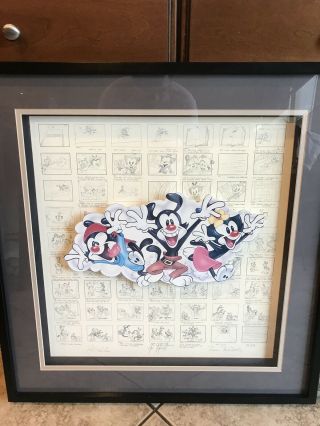 Warner Brothers Animaniacs Cell Storyboard.
