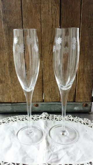 Tiffany Daisy Etched Champagne Flutes,  Set Of Two