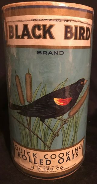 Vintage 1900s Black Bird Brand Rolled Oats Container 3lb Box Oldie To Have