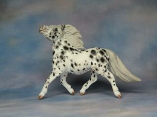 Breyer Cm Custom Stablemate Pony Stallion X L.  Elkjer Ooak