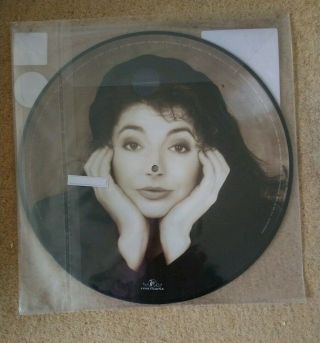 Kate Bush Cloudbusting 12” Vinyl Picture Disc 2019 2