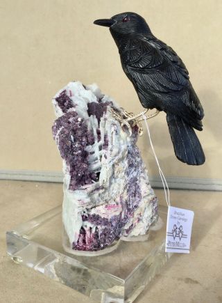 Crow Of Obsidian On Tourmaline And Albite Crystals 7 " - Peter Muller