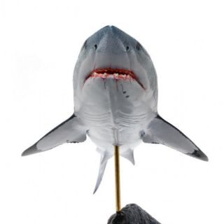 Kaiyoukoubou Great White Shark 1 Fish Carving Figure Jaws