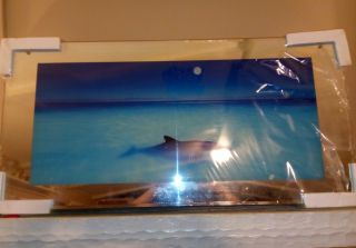 Moving Water Picture Dolphins Mirror Framed W/ Light & Sound 38x20