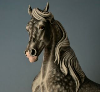 CM Custom Breyer horse by Tammy Myrold Valegro,  Dutch Warmblood gelding 10