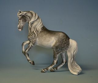 Cm Custom Breyer Horse By Tammy Myrold Valegro,  Dutch Warmblood Gelding