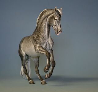 CM Custom Breyer horse by Tammy Myrold Valegro,  Dutch Warmblood gelding 3