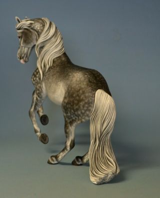 CM Custom Breyer horse by Tammy Myrold Valegro,  Dutch Warmblood gelding 4