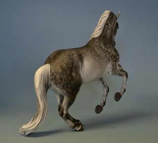 CM Custom Breyer horse by Tammy Myrold Valegro,  Dutch Warmblood gelding 6