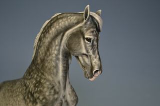 CM Custom Breyer horse by Tammy Myrold Valegro,  Dutch Warmblood gelding 8