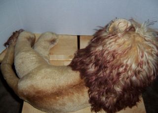 Vintage 1950 - 60s Steiff LEO Lion Large Lying Dwn Mohair Stuffed Plush Toy Animal 7