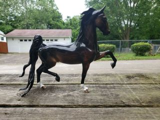 Peter Stone Traditional Saddlebred Stallion Enchanter Ltd 15 Glossy