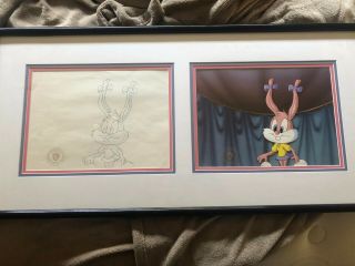 Babs Bunny Warner Bros.  Tiny Toon Adventure Framed Production Cel/drawing W