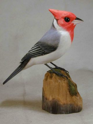 Red - Crested Cardinal Bird Wood Carving