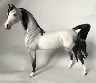 Peter Stone Dah Dapple Grey Arabian Stallion Model Horse