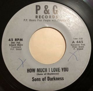 Sweet Soul 45 Sons Of Darkness On P&g How Much I Love You Listen