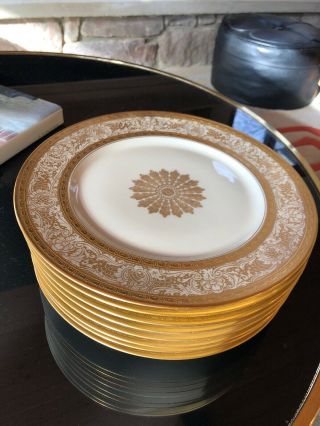 Heinrich & Co.  Selb Bavaria Gold Encrusted Dinner Plate 11 " Porcelain Set Of 8