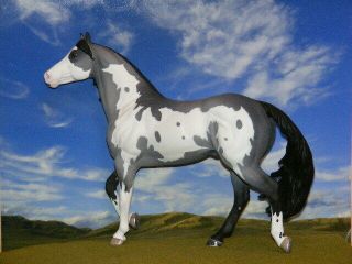 Ooak Breyer Custom Horse Smart Chic Grulla Overo X D.  Williams Gorgeous