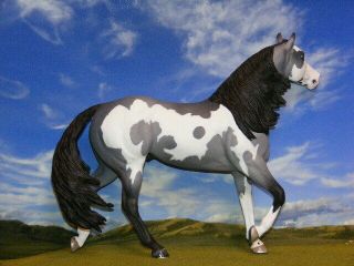 OOAK Breyer Custom Horse Smart Chic Grulla Overo x D.  Williams Gorgeous 2