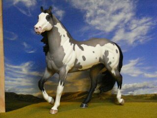 OOAK Breyer Custom Horse Smart Chic Grulla Overo x D.  Williams Gorgeous 3