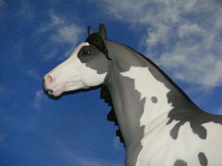 OOAK Breyer Custom Horse Smart Chic Grulla Overo x D.  Williams Gorgeous 5