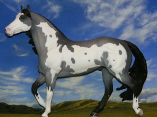 OOAK Breyer Custom Horse Smart Chic Grulla Overo x D.  Williams Gorgeous 7