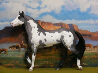 OOAK Breyer Custom Horse Smart Chic Grulla Overo x D.  Williams Gorgeous 8