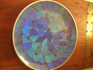 Vintage Blue Morpho Butterfly Wing Art Wall Hanging Plate Dish 14 1/2 Inch Dish