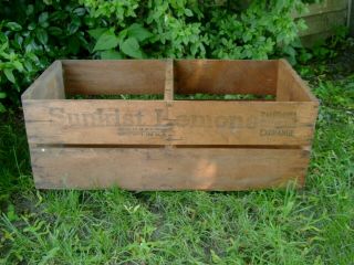 Vintage Rare Antique Wood Box Packaging Crate - Sunkist Lemons Bear Brand