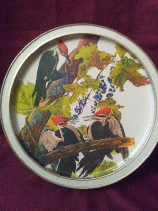 Vintage Sunshine BISCUIT Tin Audubon Birds America Extinct 13.  5 
