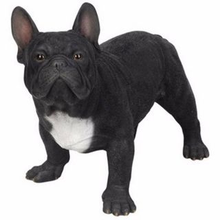 Black French Bulldog Dog Figurine - Life Like Figurine Statue Home / Garden