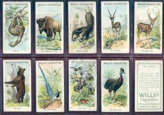 Tobacco Card Set,  Wd & Ho Wills,  Animals & Birds,  Descriptive,  1900