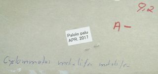 CYCLOMMATUS METALIFER METALIFER FROM PALOLO PALU,  SULAWESI XL 92 mm (A -) 5