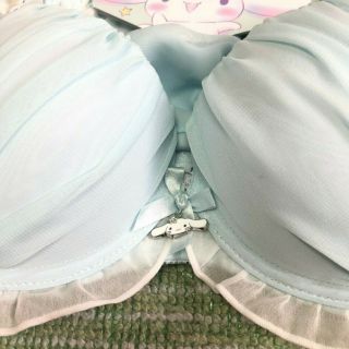 Sanrio Cinnamoroll Dog Colabo Shimamura lingerie Bra Panty set Adult M size 4