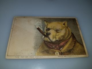 Antique 1880 Victorian Trade Card Currier & Ives The Pet Of The Fancy Bulldog