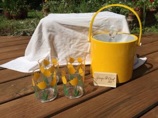 Vintage Picnic Georges Briard Ice Bucket w/ 4 Tulip Glasses Box 8