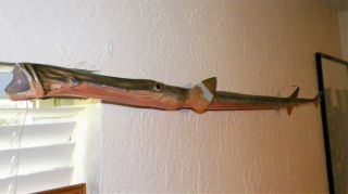 43 " Rare Trumpetfish Taxadermy Barracuda Gar Snake Eel
