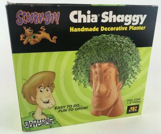 Scooby Doo Shaggy Chia Pet Head Cartoon Network Ready To Grow