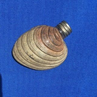 Rare Antique Figural Clam Shell Whiskey Flask Cap Foust Distillery Glen Rock Pa