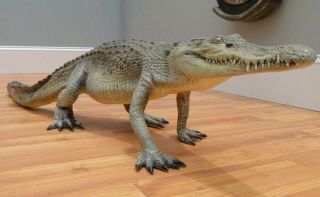 Alligator Garden Sculpture Life Size Crocodile Statue 4 Ft Long 2
