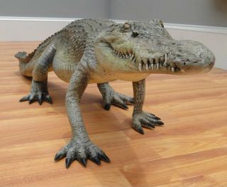 Alligator Garden Sculpture Life Size Crocodile Statue 4 Ft Long 3