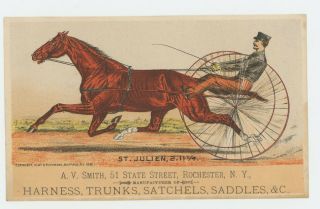 Harness Racing Trooer Horse St Julien Jockey 1880 