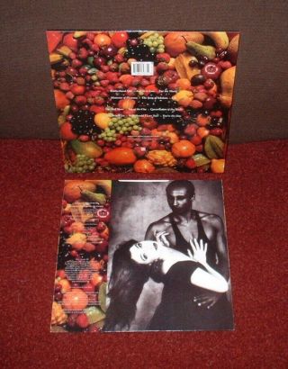 KATE BUSH The Red Shoes LP 1993 EMI 1st Press,  INNER STUNNING EXAMPLE 2
