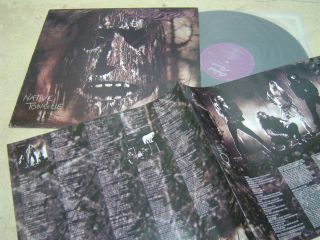Poison Native Tongue 1992 15track Korea Vinyl Lp 12 " W/insert Ekpl0289