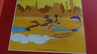 Matted Wile Coyote Road Runner Warner Brothers Cel Cell Animation Art